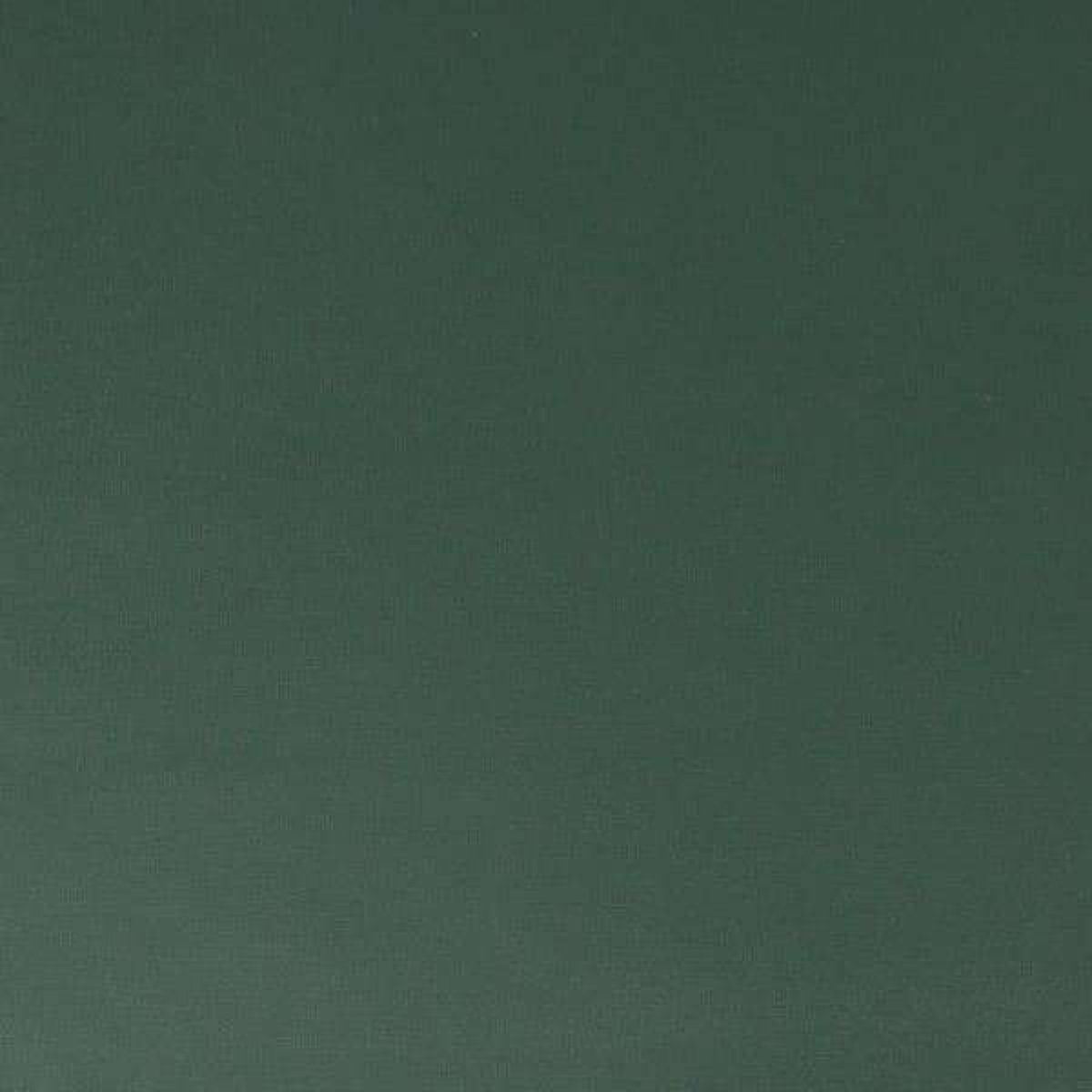 Graham & Brown | PARADISE | Uni Elegant Leaves Dark Green 106414 Graham & Brown | PARADISE | Uni Elegant Leaves Dark Green 106414