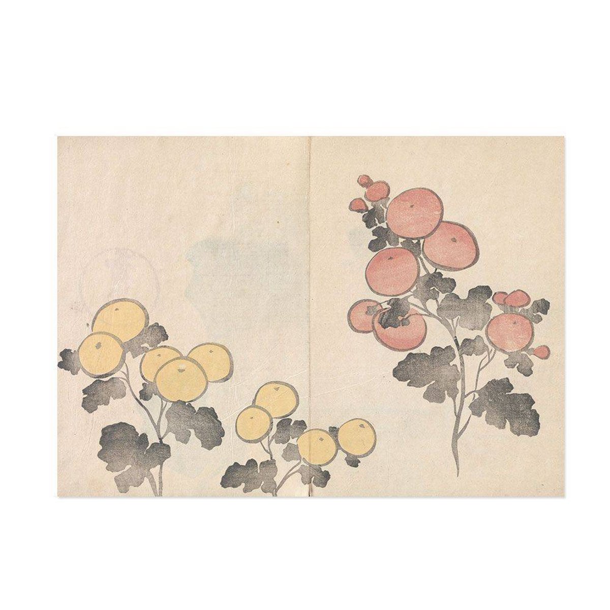 Hattan Art Poster Korin Art Poster Kiku / HP-00142 Hattan Art Poster Korin Art Poster Kiku / HP-00142