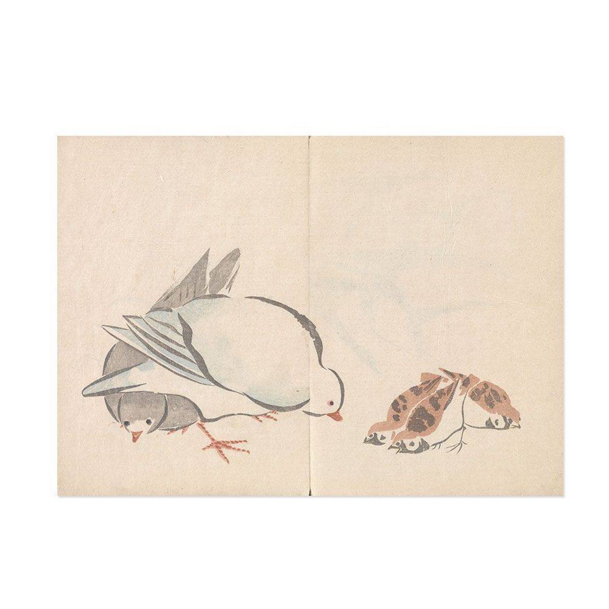 Hattan Art Poster Korin Art Poster Dove and Sparrow / HP-00143 Hattan Art Poster Korin Art Poster Dove and Sparrow / HP-00143