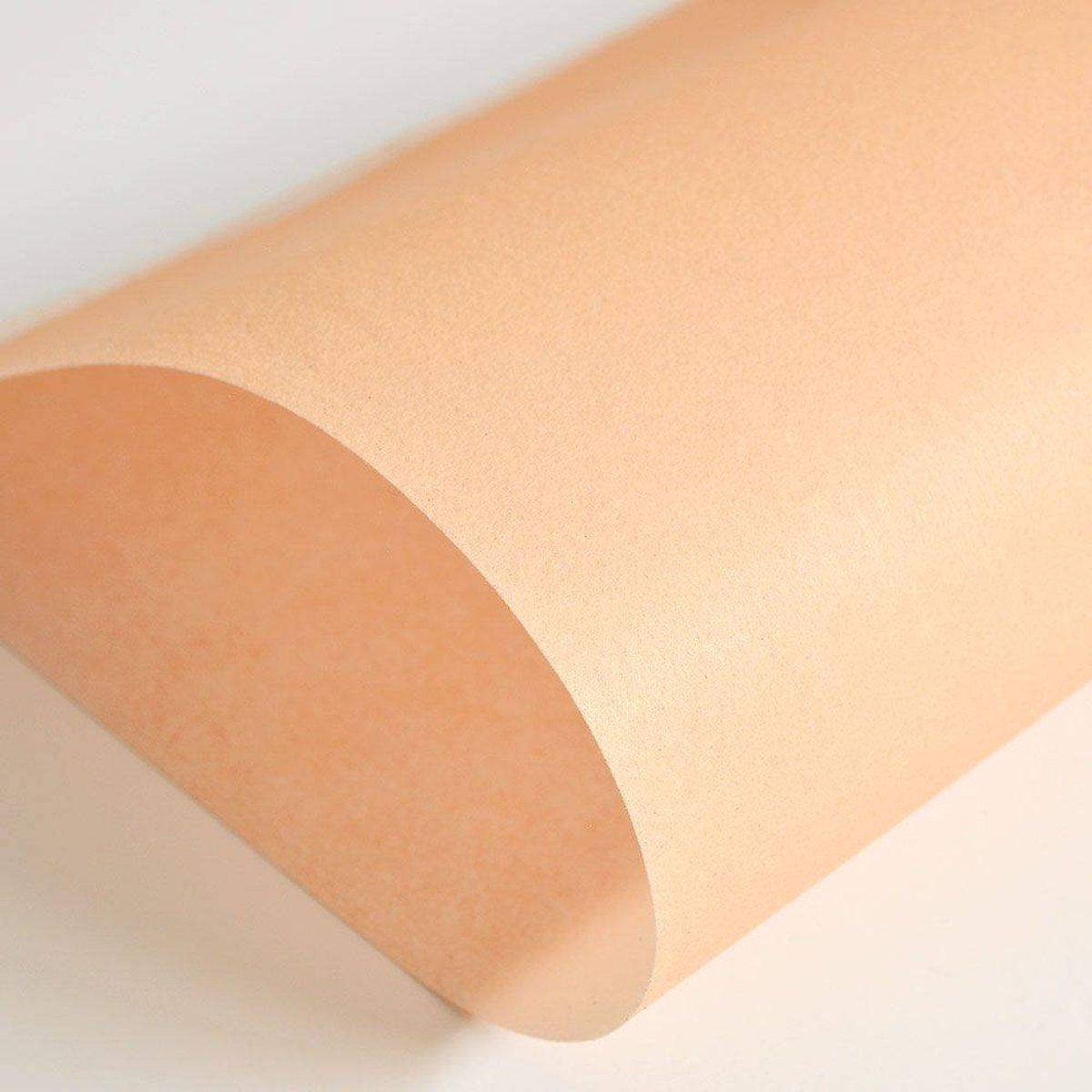 Hattan Palette | 06 Apricot Hattan Palette | 06 Apricot