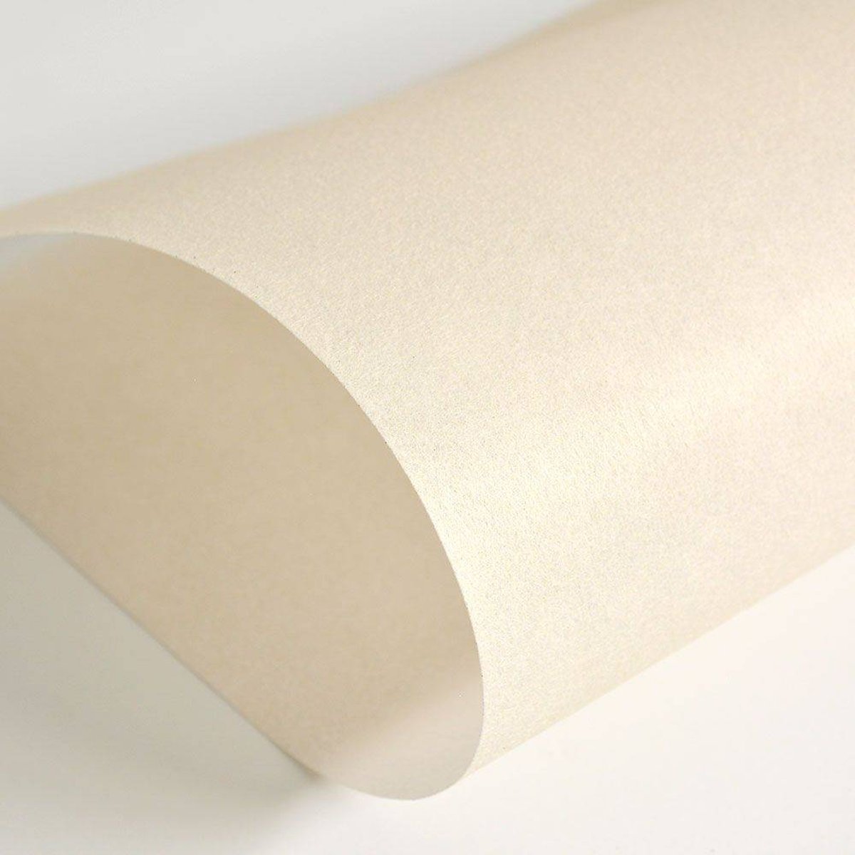 Hattan Palette | 39 Ecru Hattan Palette | 39 Ecru