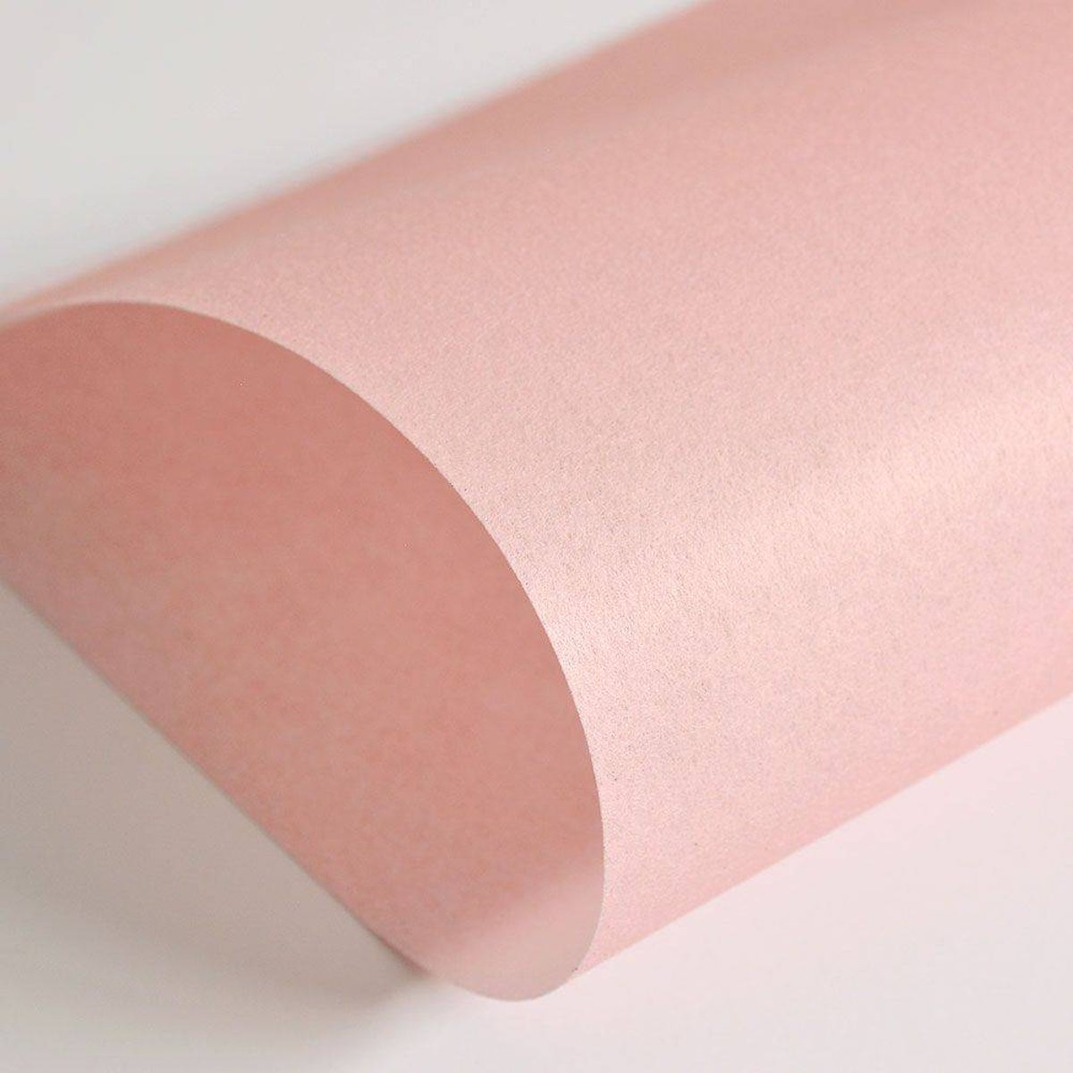 Hattan Palette | 04 Flamingos Hattan Palette | 04 Flamingos