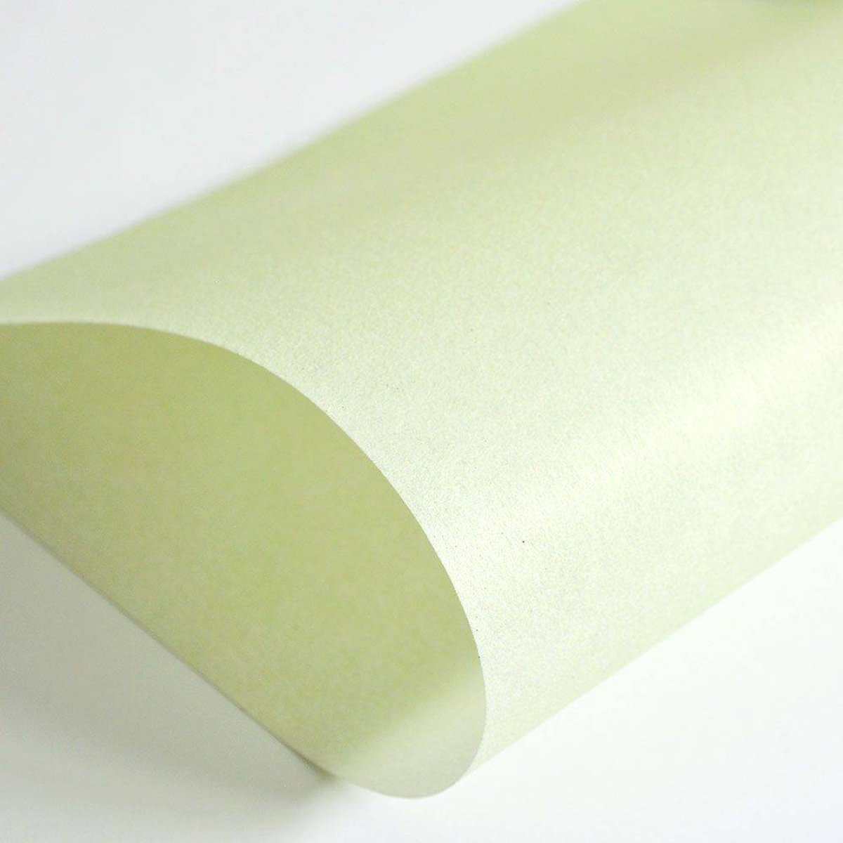 Hattan Palette | 11 Glasses Hattan Palette | 11 Glasses