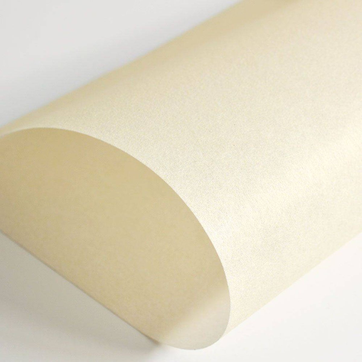 Hattan Palette | 01 Soy Milk Hattan Palette | 01 Soy Milk