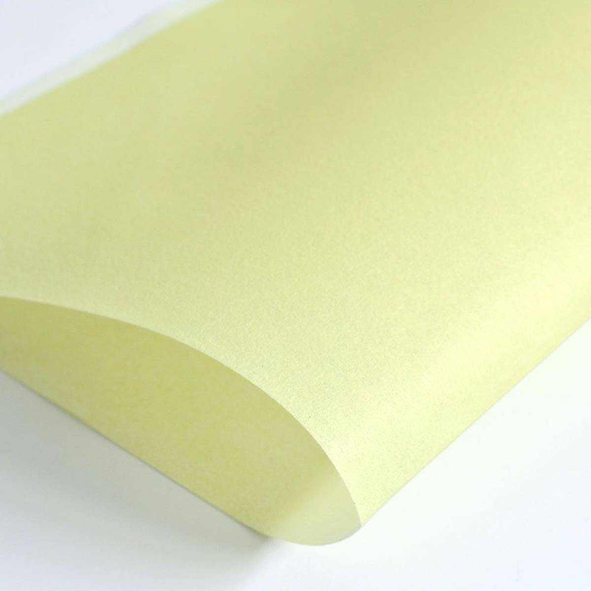 Hattan Palette | 12 Leaf Hattan Palette | 12 Leaf