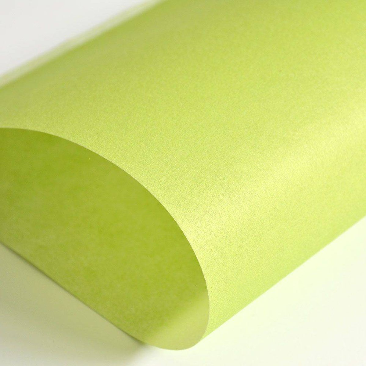 Hattan Palette | 65 Lime Green Hattan Palette | 65 Lime Green