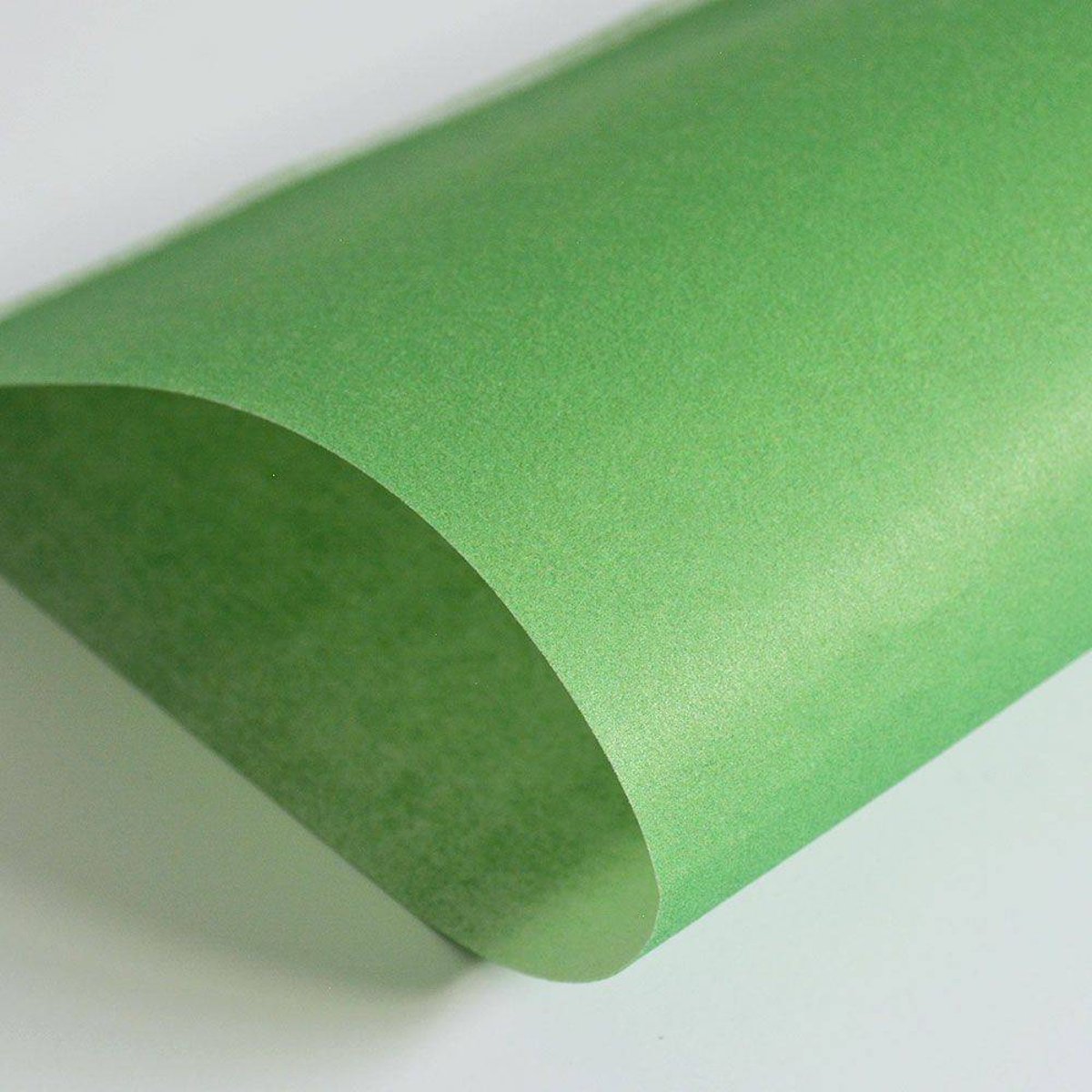 Hattan Palette | 15 Midori Hattan Palette | 15 Midori