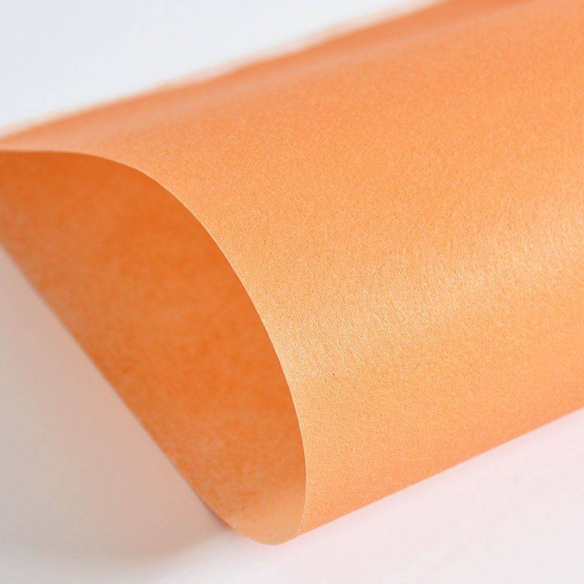 Hattan Palette | 67 Orange Hattan Palette | 67 Orange