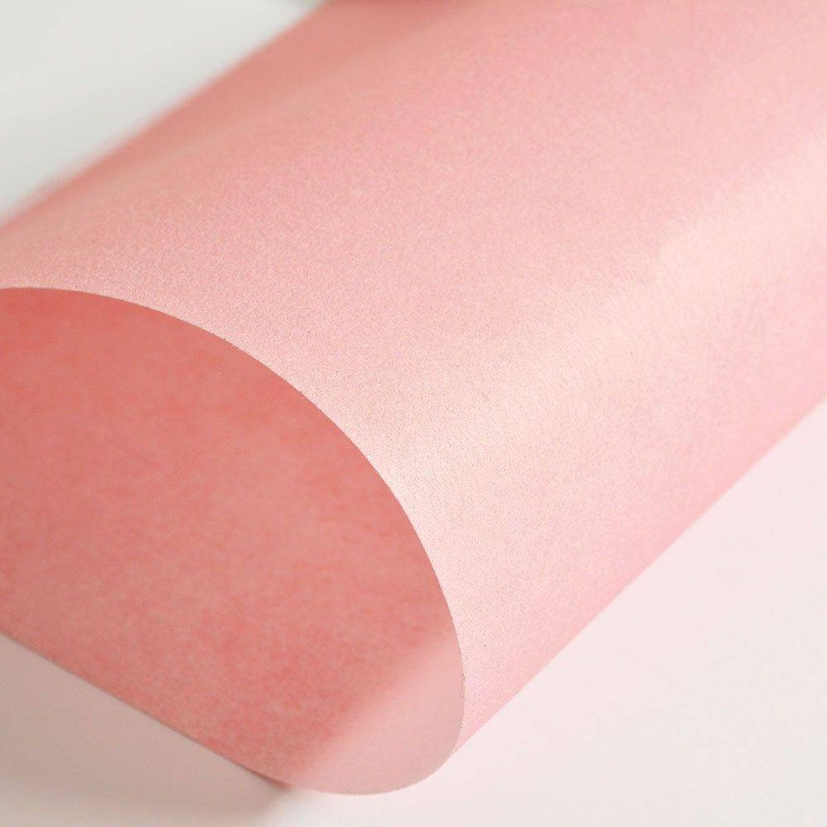 Hattan Palette | 20 Peaches Hattan Palette | 20 Peaches