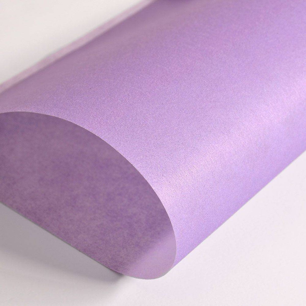 Hattan Palette | 24 Purple Hattan Palette | 24 Purple