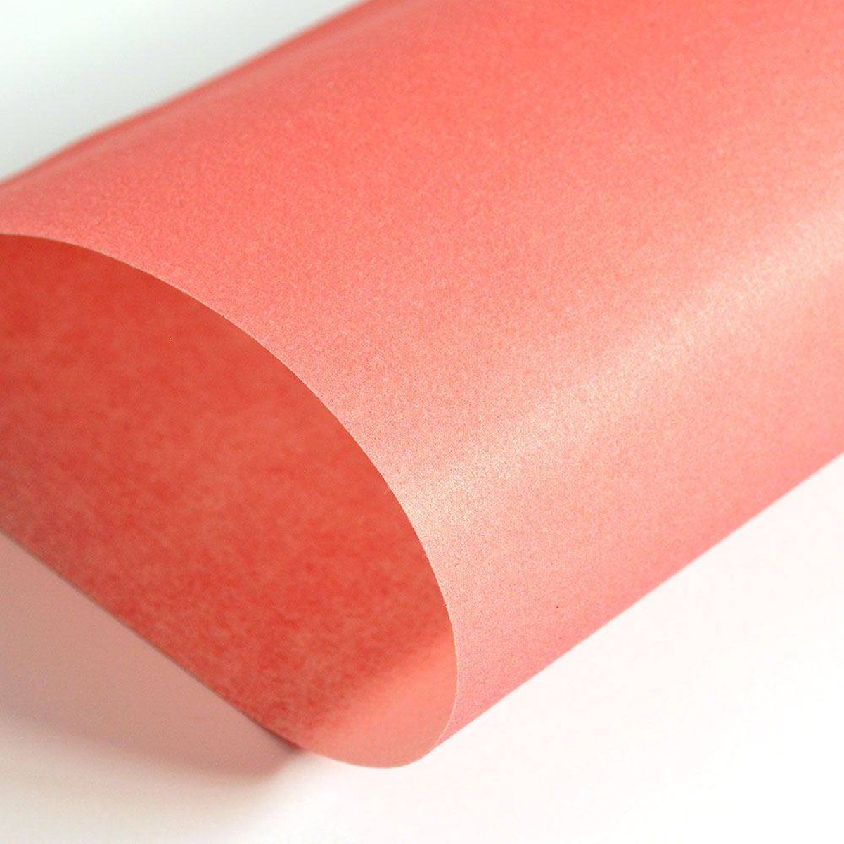 Hattan Palette | 13 Red Hattan Palette | 13 Red