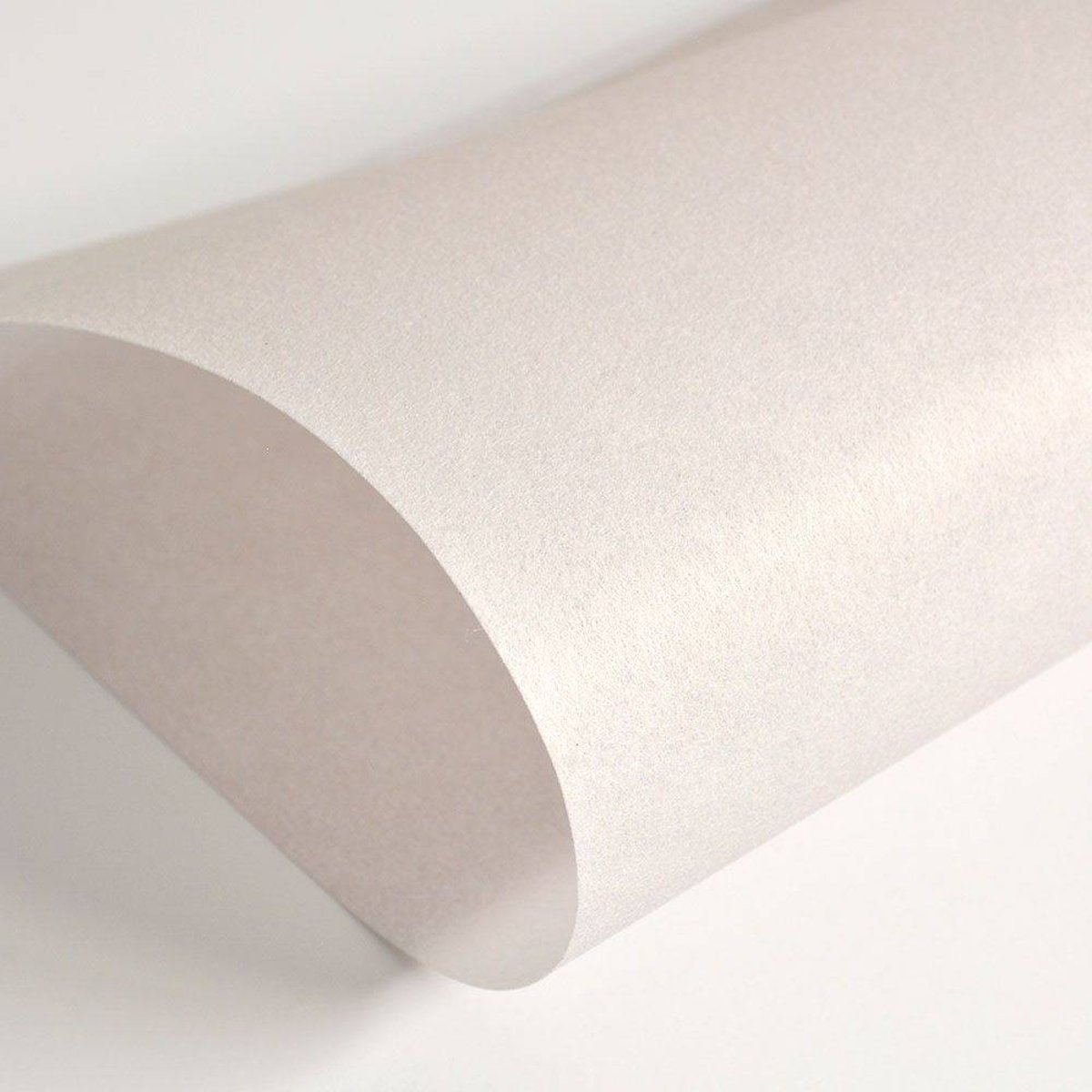 Hattan Palette | 37 Rose Grey Hattan Palette | 37 Rose Grey