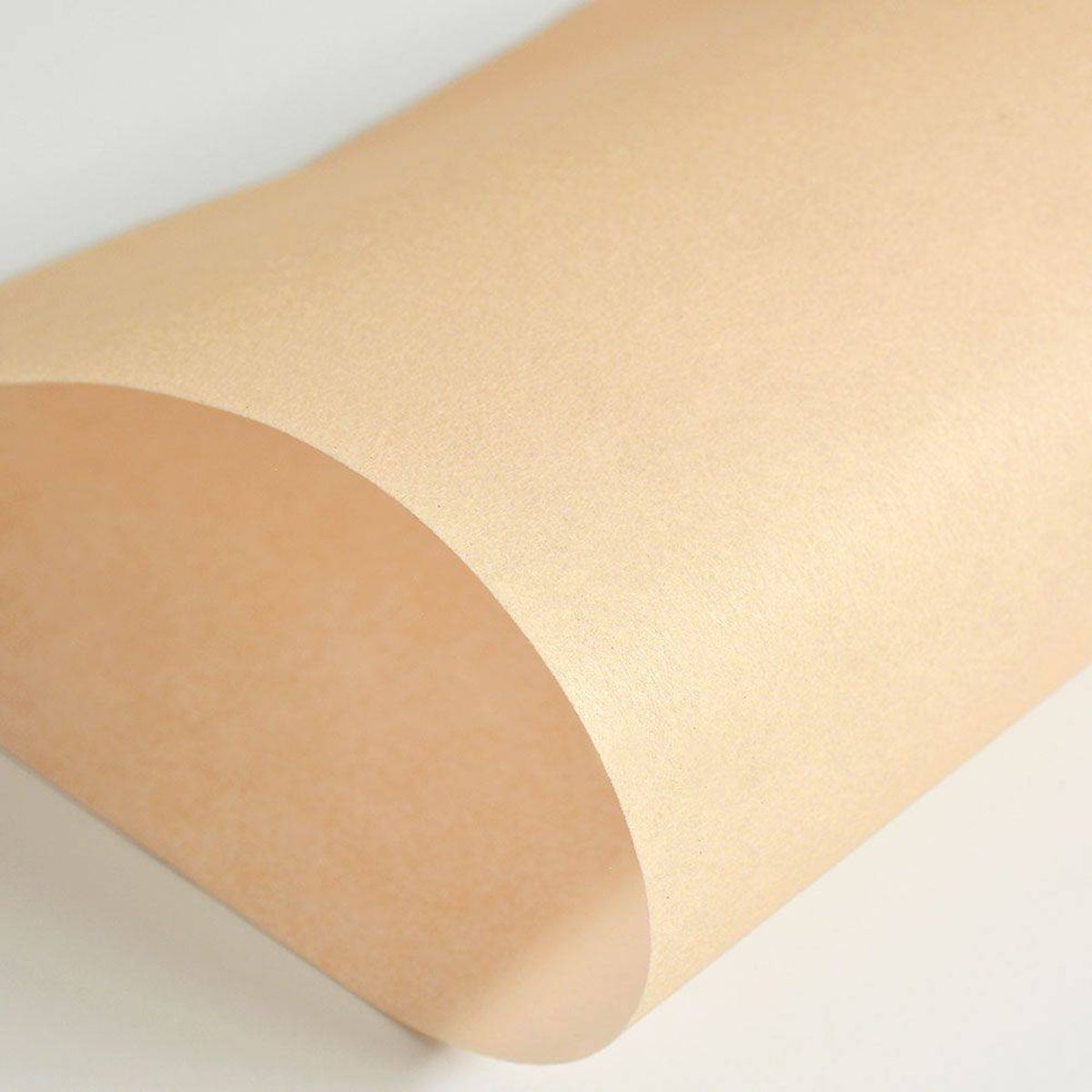 Hattan Palette | 41 Rusk Hattan Palette | 41 Rusk