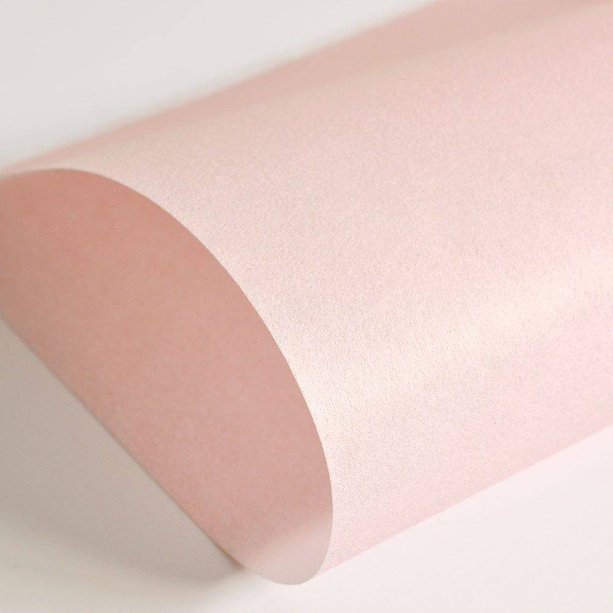 Hattan Palette | 03 Sakura Hattan Palette | 03 Sakura