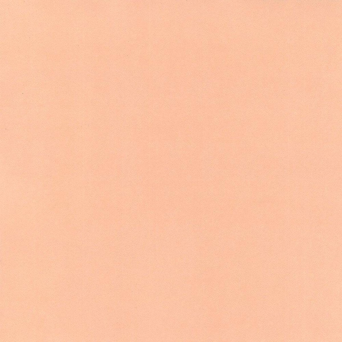 Hattan Palette | 22 Usu Daidai Hattan Palette | 22 Usu Daidai