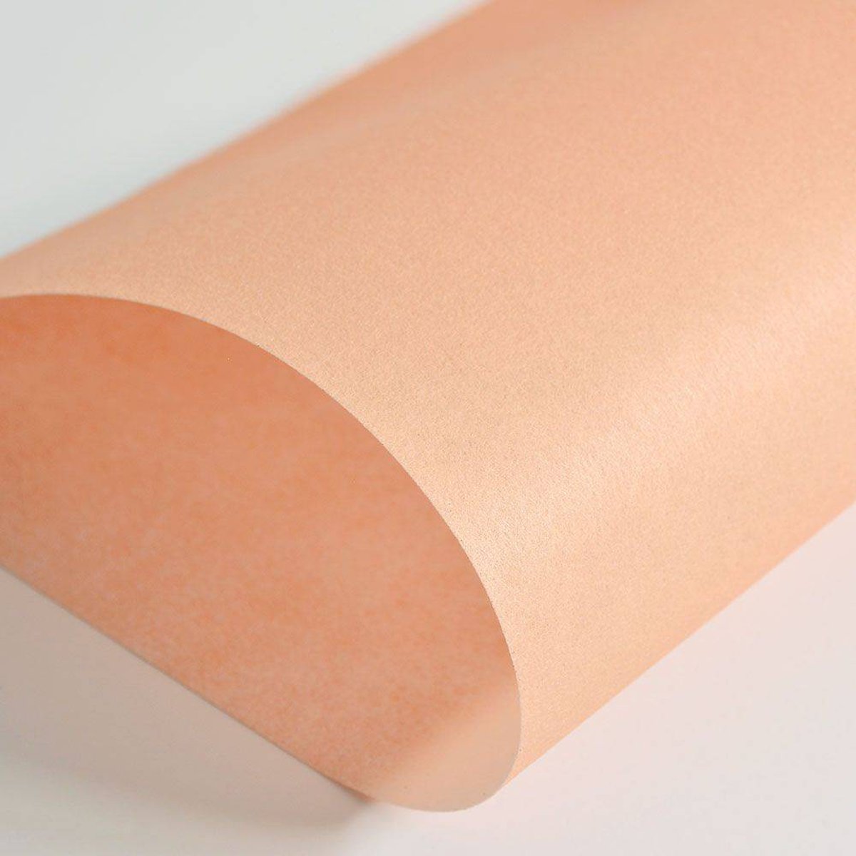 Hattan Palette | 22 Usu Daidai Hattan Palette | 22 Usu Daidai