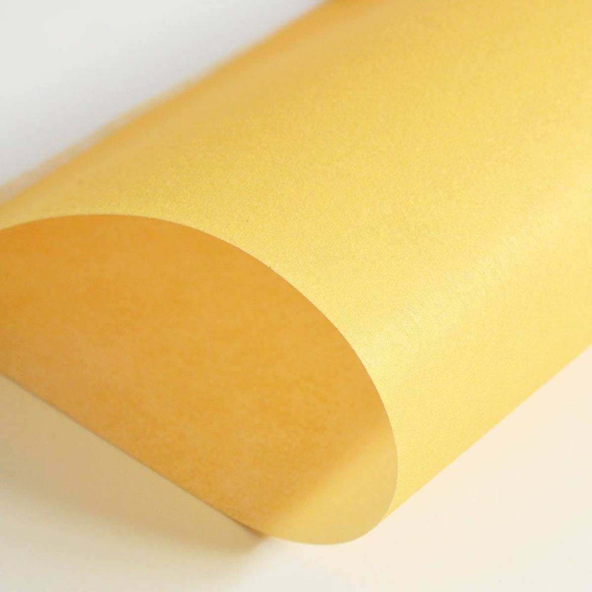 Hattan Palette | 14 Yellow Hattan Palette | 14 Yellow