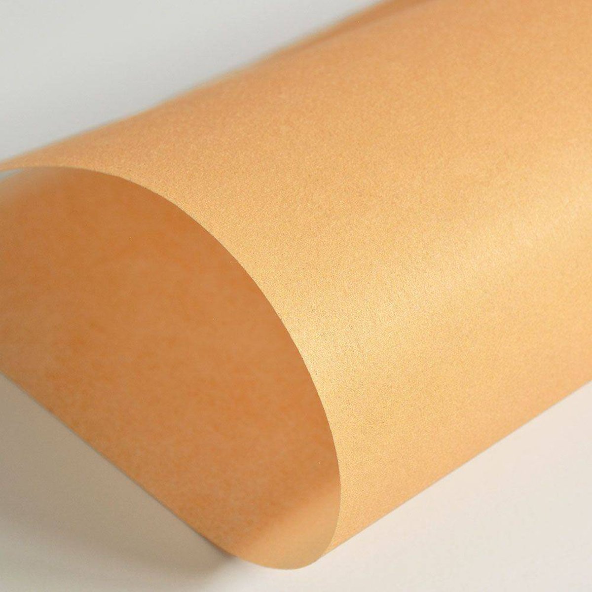 Hattan Palette | 28 Amber Hattan Palette | 28 Amber