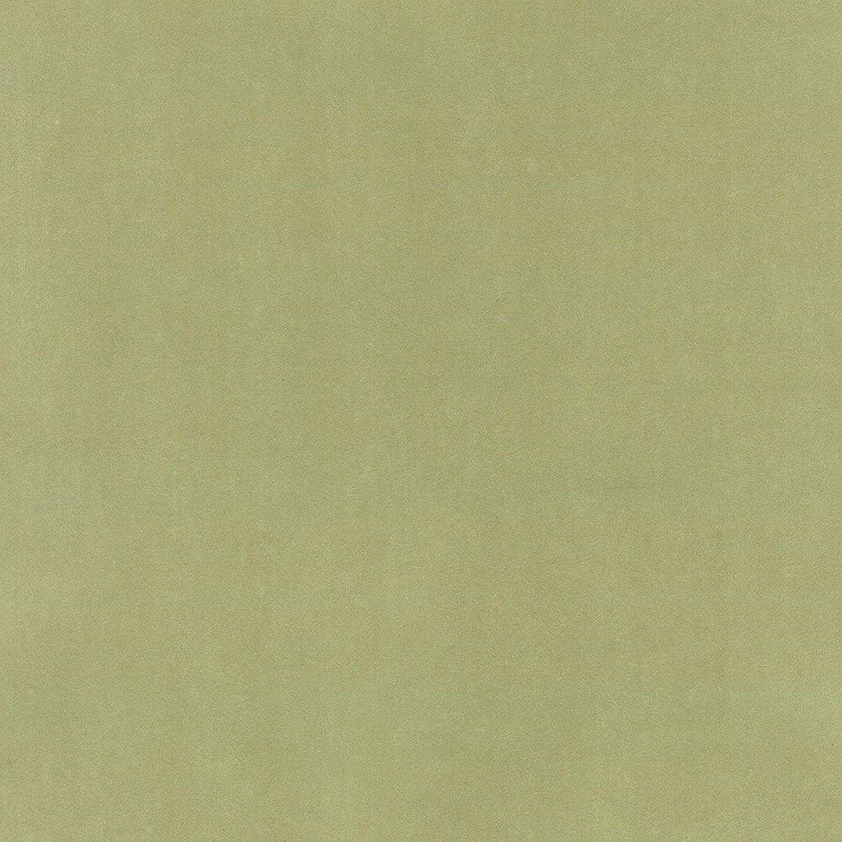 Hattan Palette | 36 Moss Hattan Palette | 36 Moss