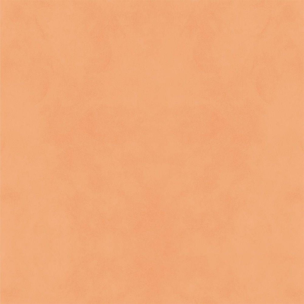 Hatte Me! Palette | 06 Apricot Hatte Me! Palette | 06 Apricot