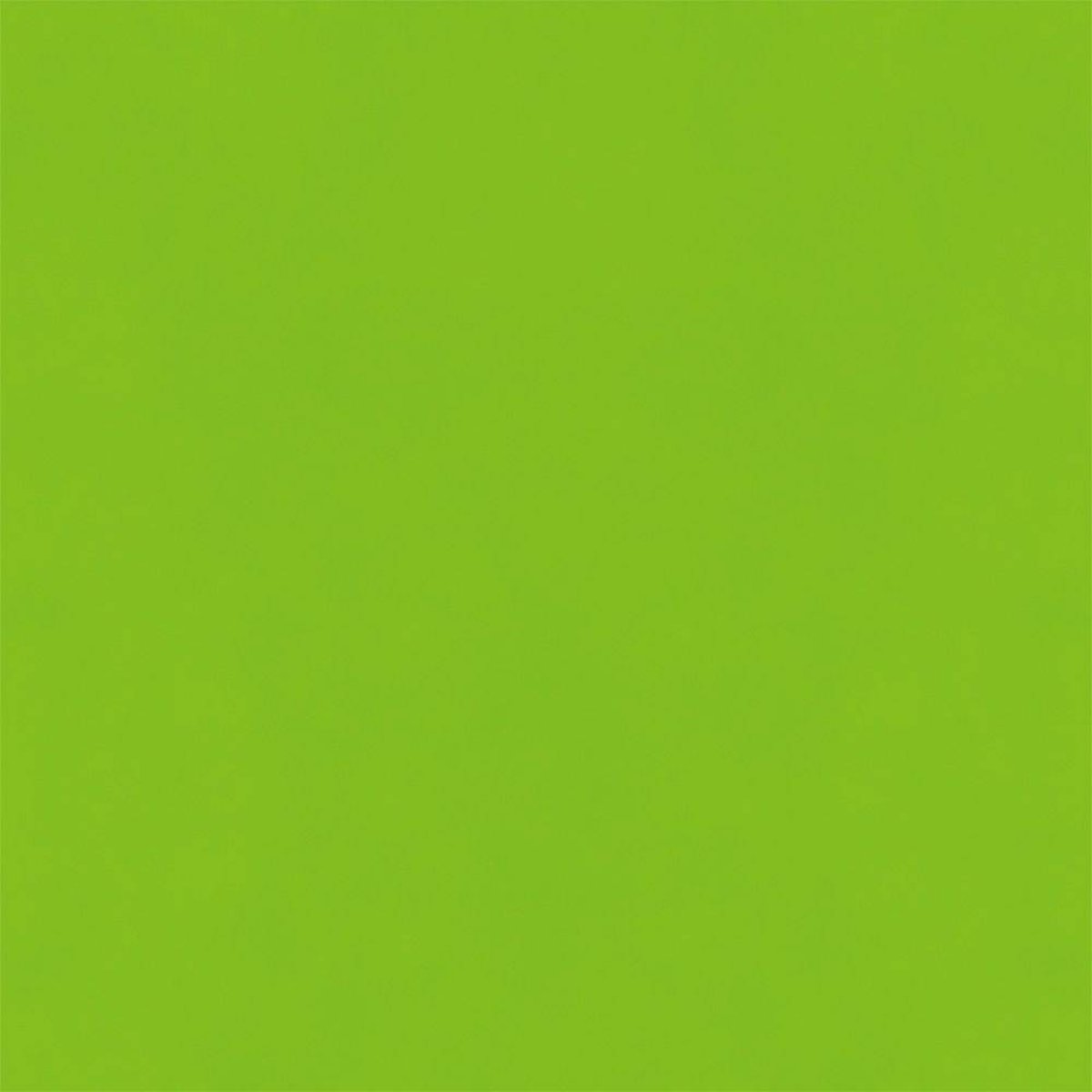Hatte Me! Palette | 65 Lime Green Hatte Me! Palette | 65 Lime Green