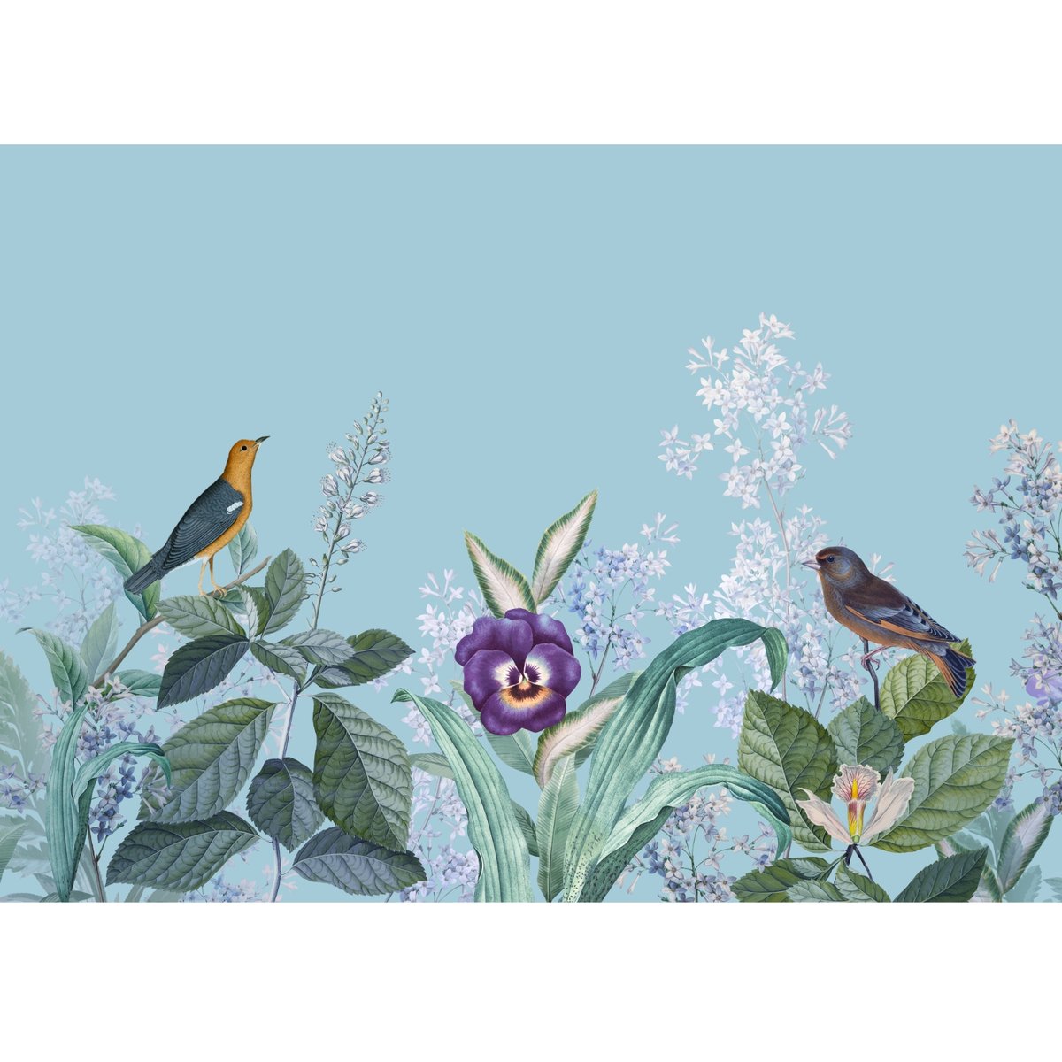 Honpo | Arbitrary of Nature Honpo | Arbitrary of Nature