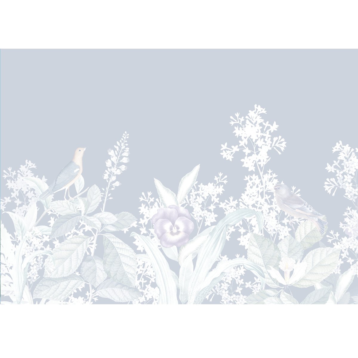 Honpo | Arbitrary of Nature Honpo | Arbitrary of Nature