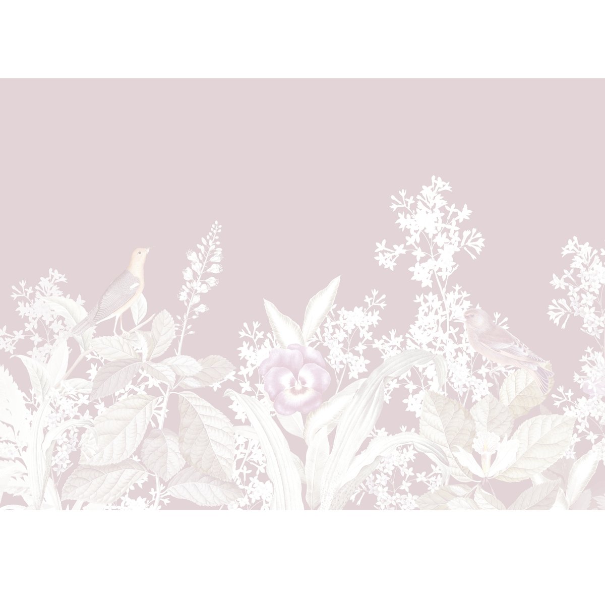 Honpo | Arbitrary of Nature Honpo | Arbitrary of Nature