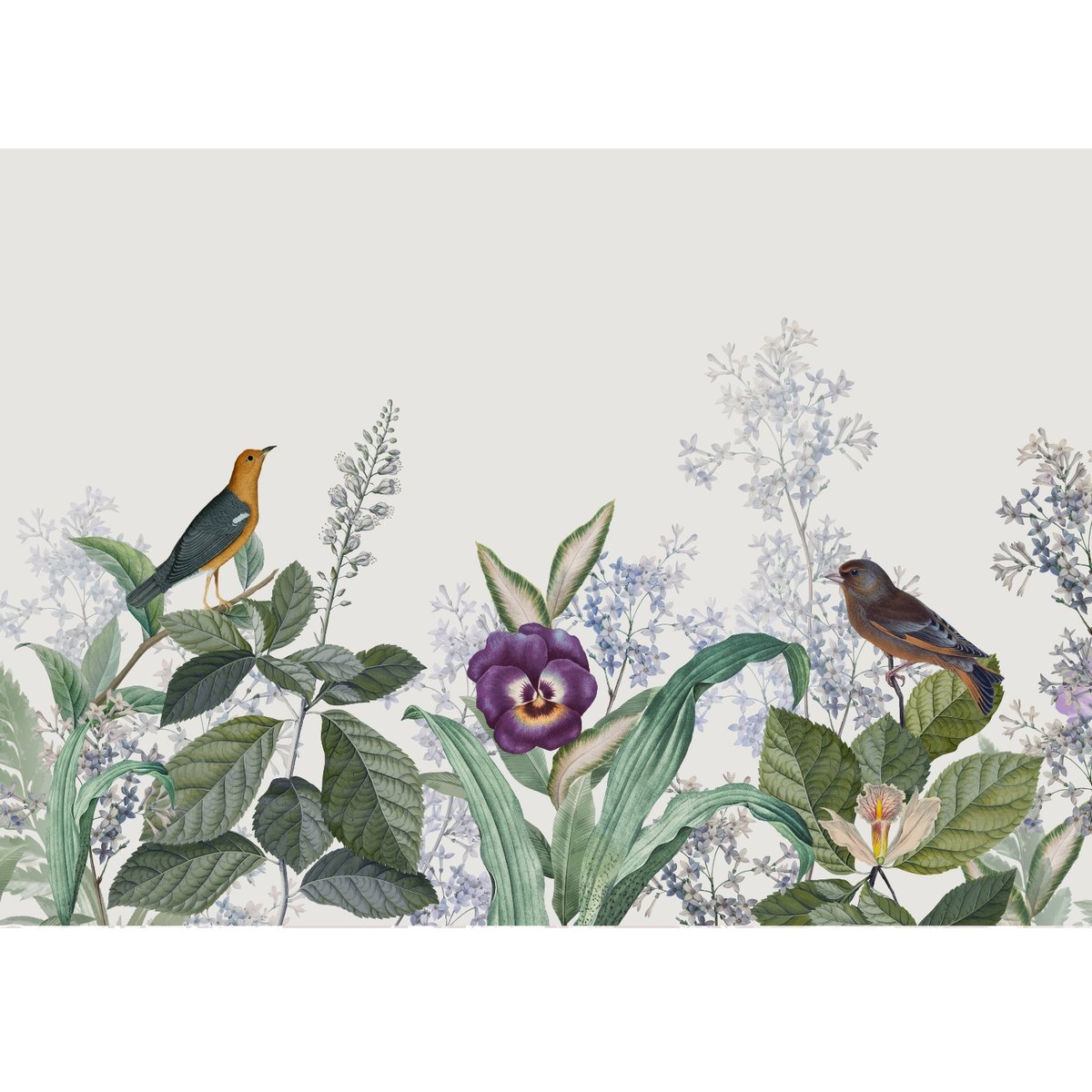 Honpo | Arbitrary of Nature Honpo | Arbitrary of Nature