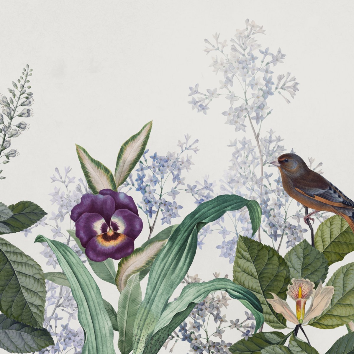 Honpo | Arbitrary of Nature Honpo | Arbitrary of Nature