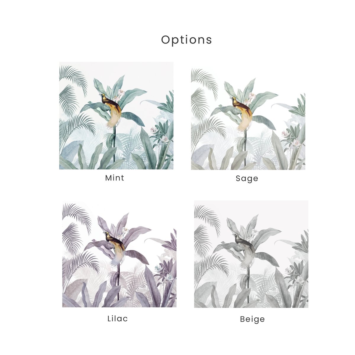 Honpo | Bird's Paradise Honpo | Bird's Paradise