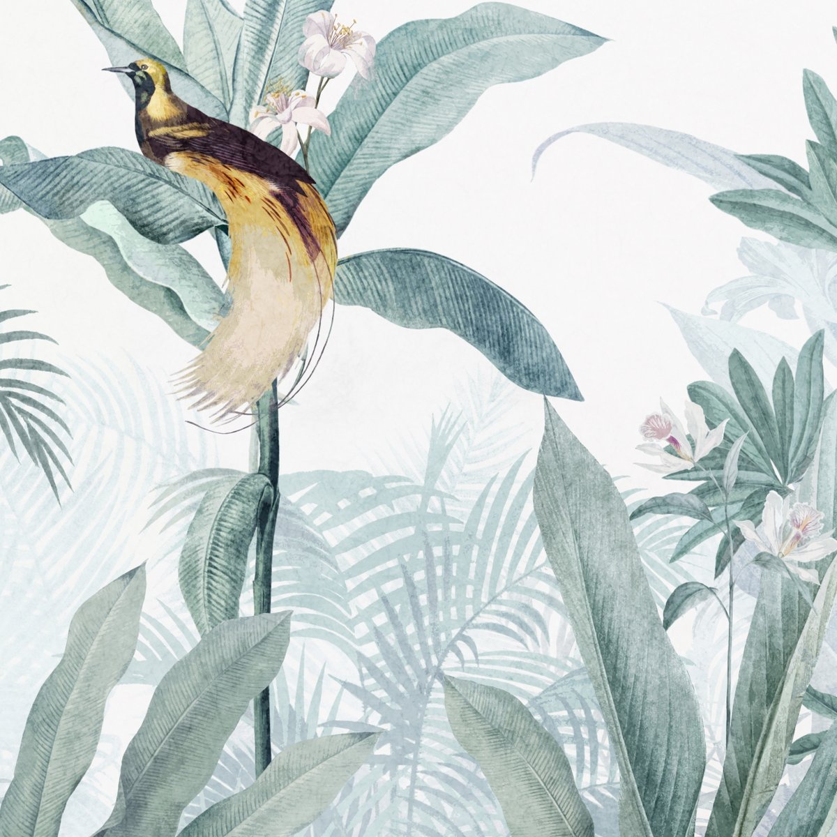 Honpo | Bird's Paradise Honpo | Bird's Paradise