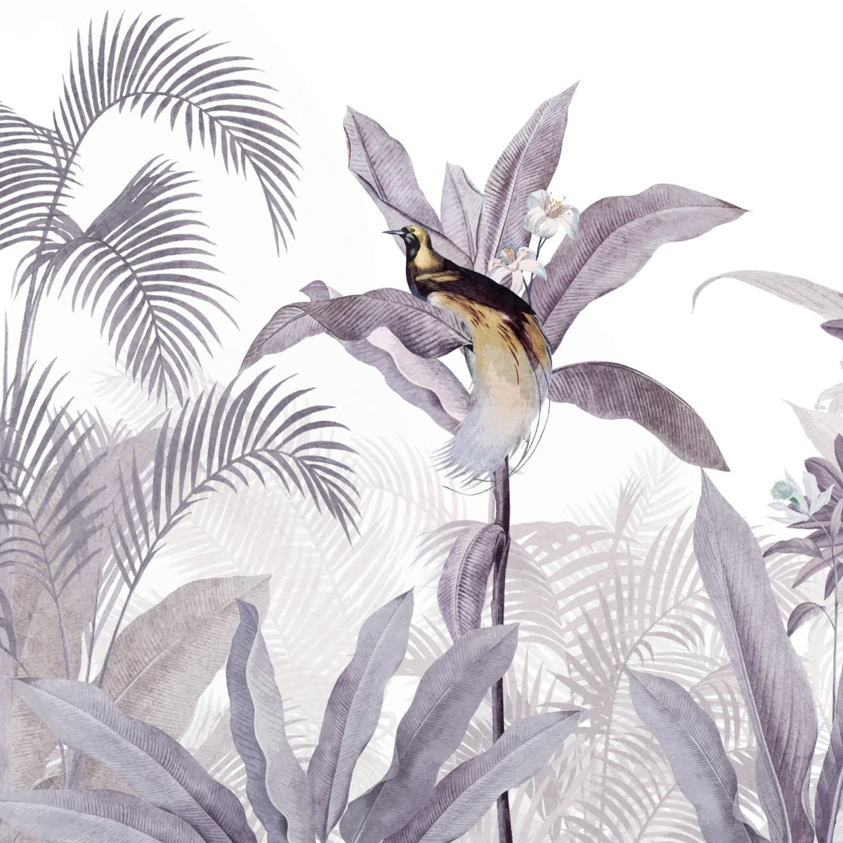 Honpo | Bird's Paradise Honpo | Bird's Paradise