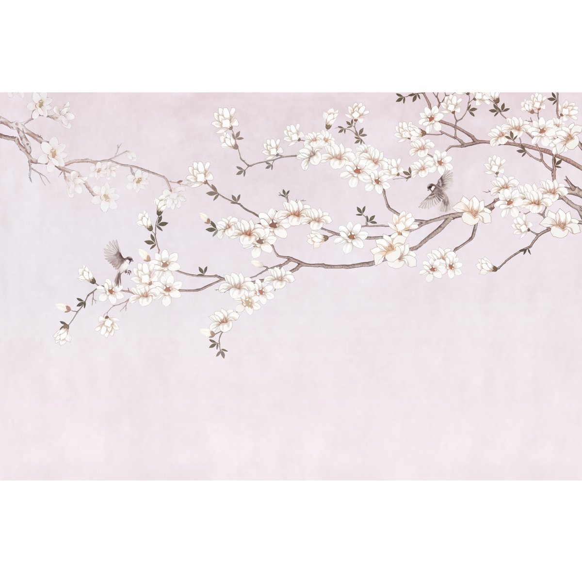 Honpo | Orient Sky Honpo | Orient Sky