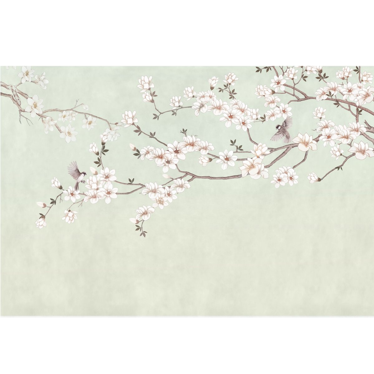 Honpo | Orient Sky Honpo | Orient Sky