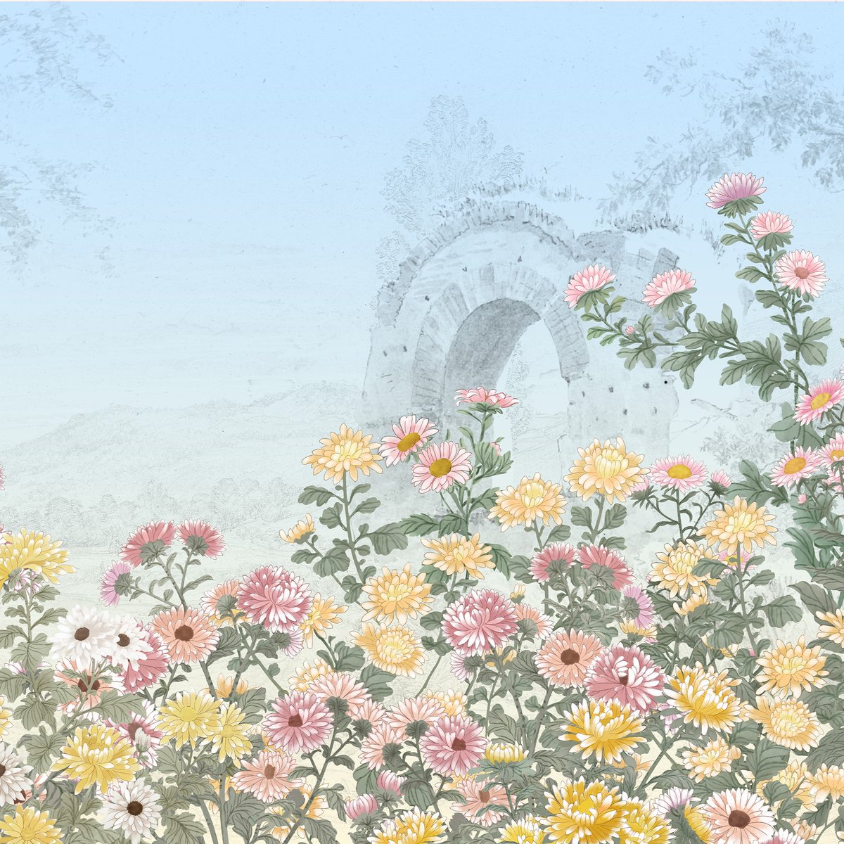 Honpo | Chrysanthemum Embrace Honpo | Chrysanthemum Embrace