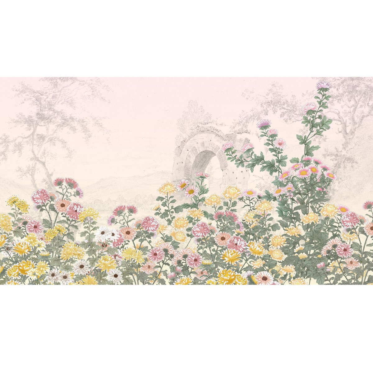 Honpo | Chrysanthemum Embrace Honpo | Chrysanthemum Embrace