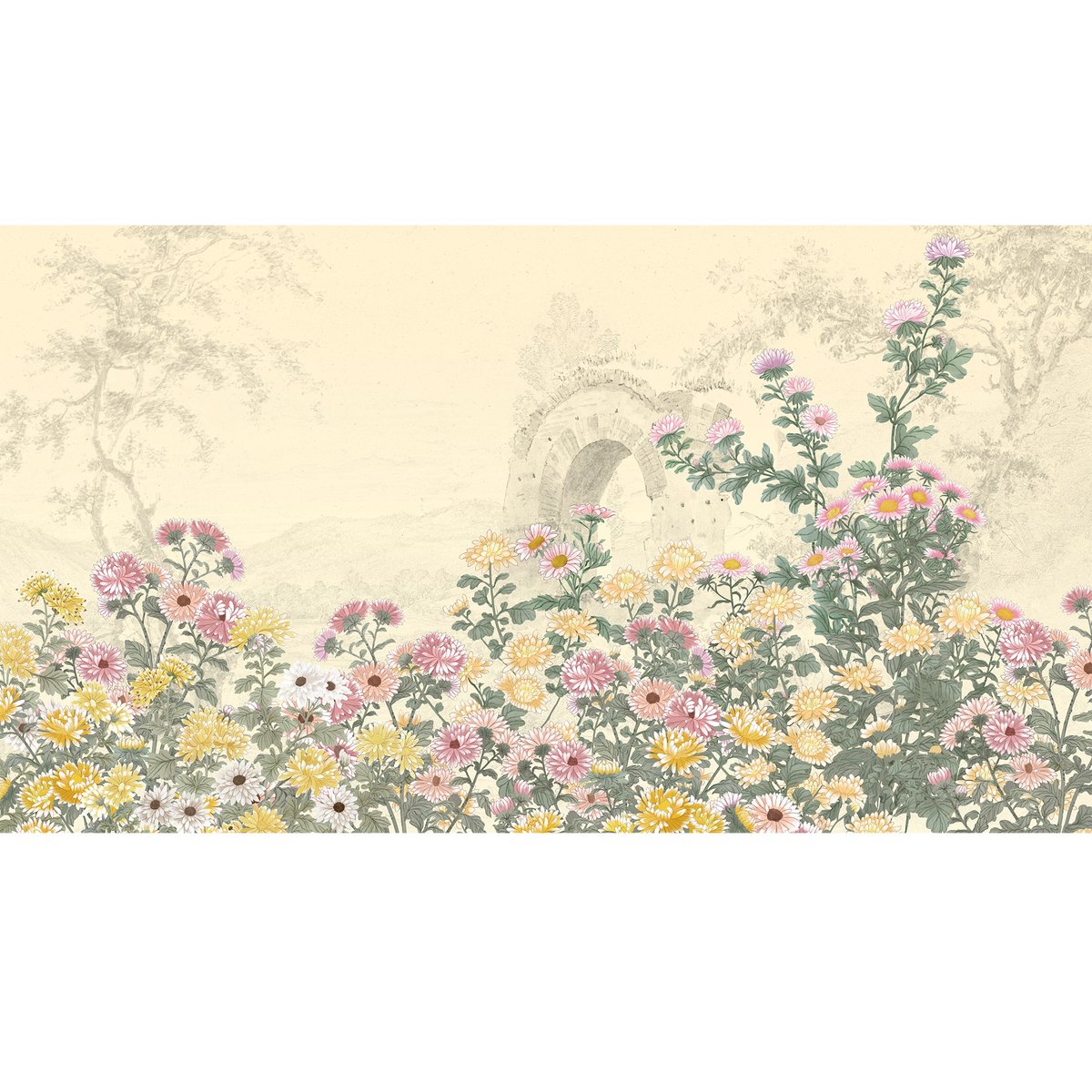 Honpo | Chrysanthemum Embrace Honpo | Chrysanthemum Embrace