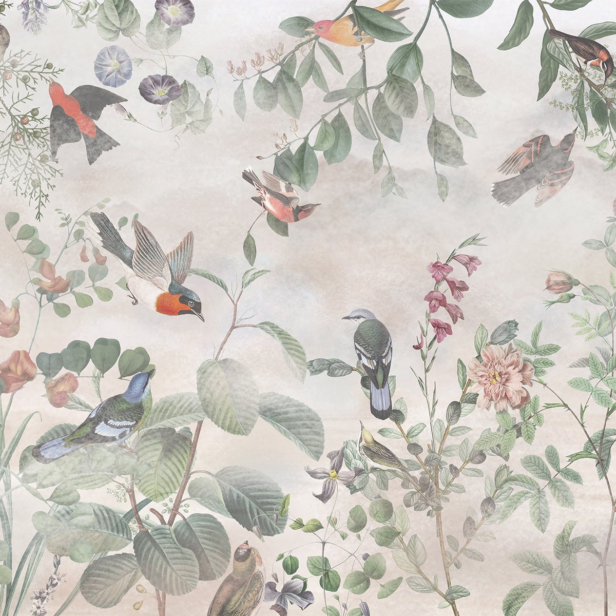 Honpo | Aviary Bliss Honpo | Aviary Bliss