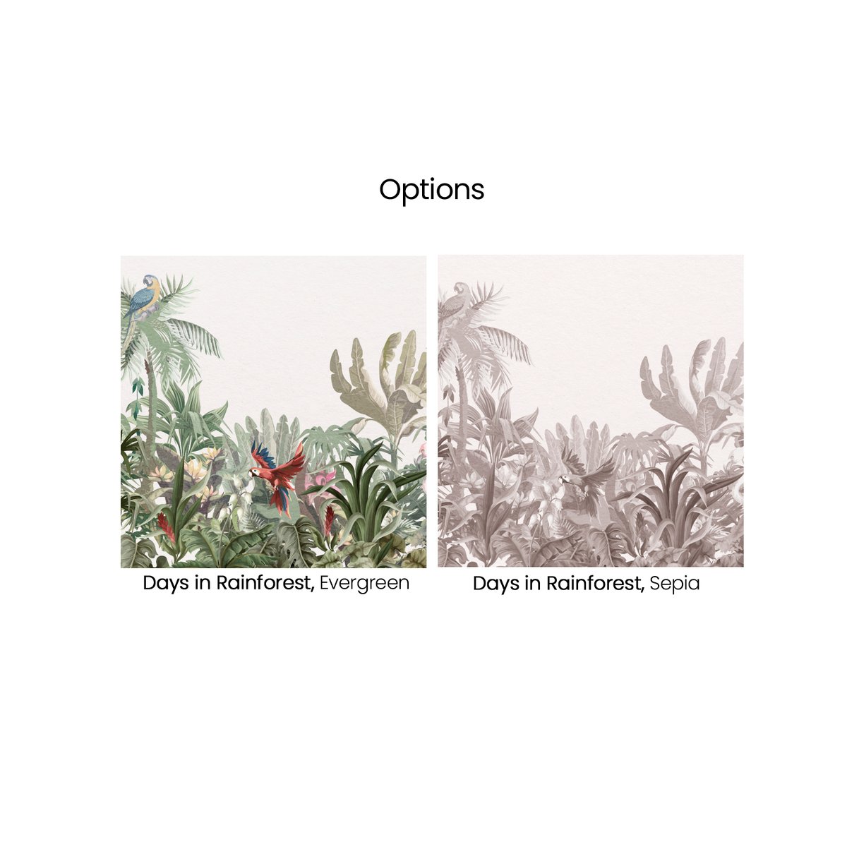 Honpo | Days in Rainforest | HP-0043 Honpo | Days in Rainforest | HP-0043