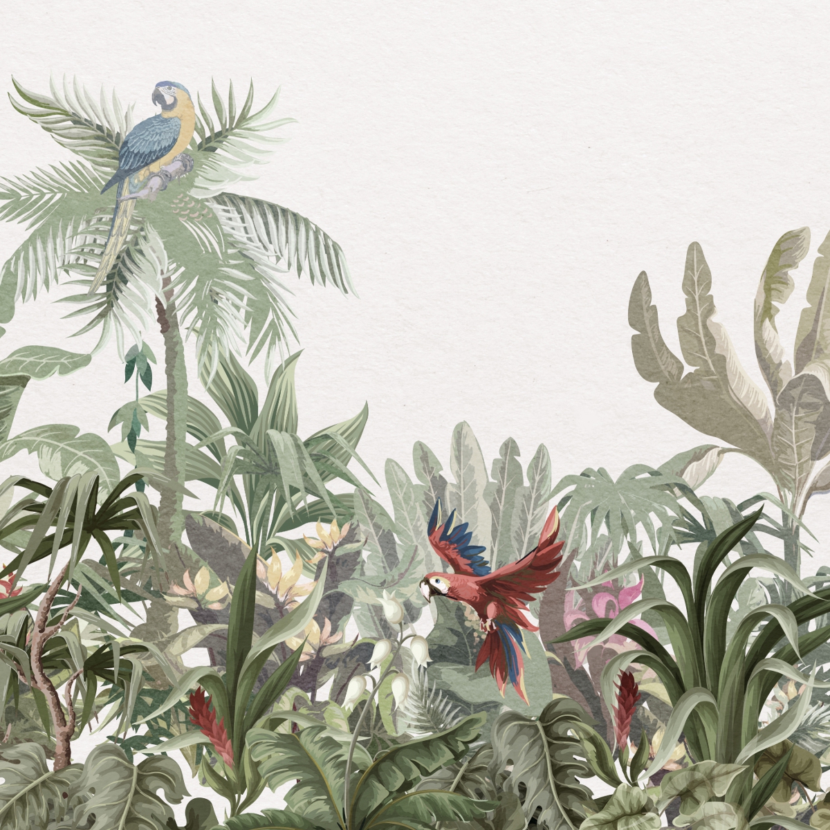 Honpo | Days in Rainforest | HP-0043 Honpo | Days in Rainforest | HP-0043