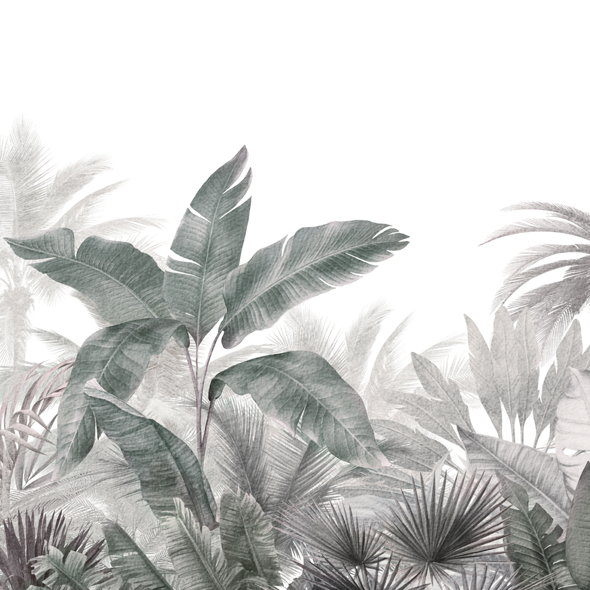 Honpo | Equator Secrets | HO-0045 Honpo | Equator Secrets | HO-0045