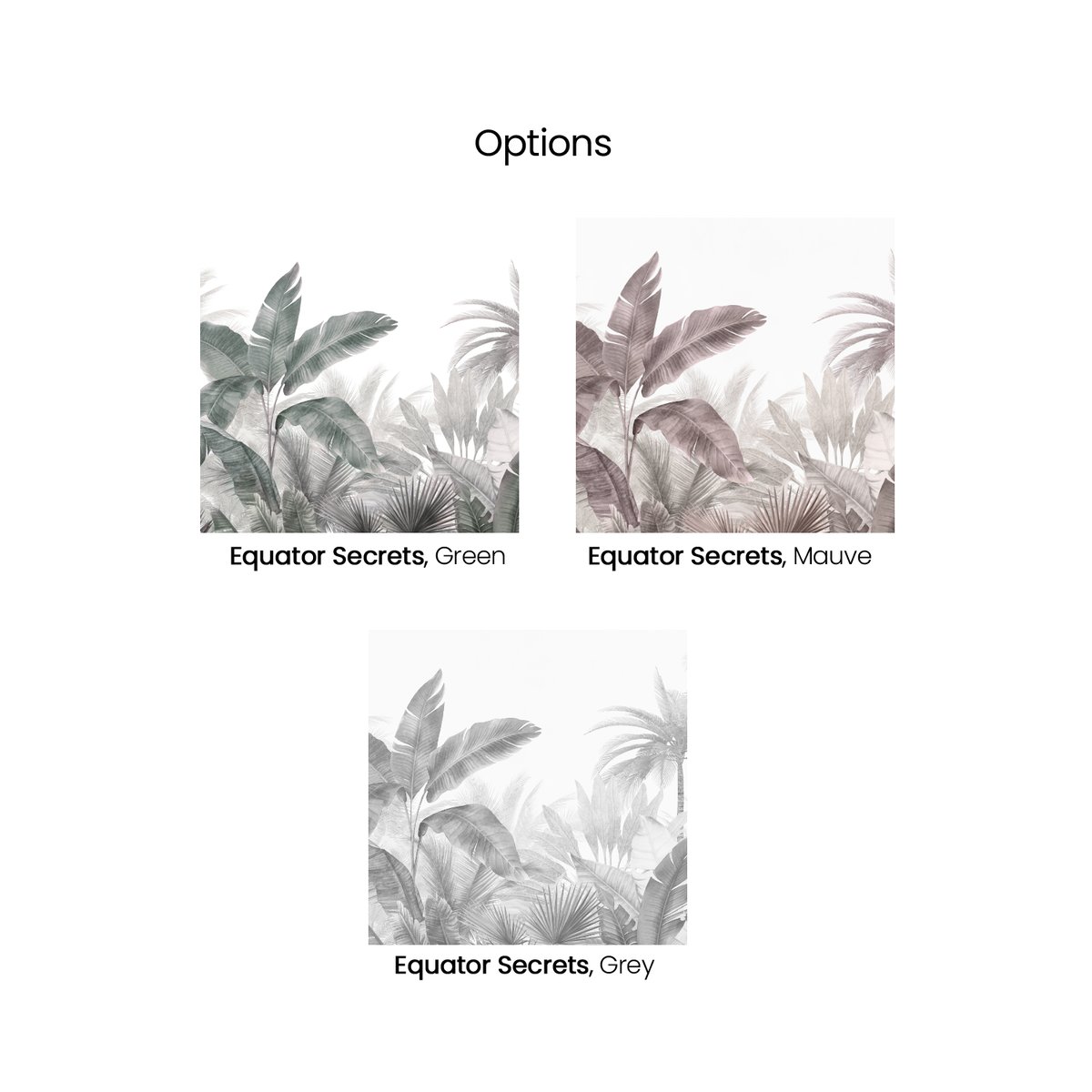 Honpo | Equator Secrets | HO-0045 Honpo | Equator Secrets | HO-0045