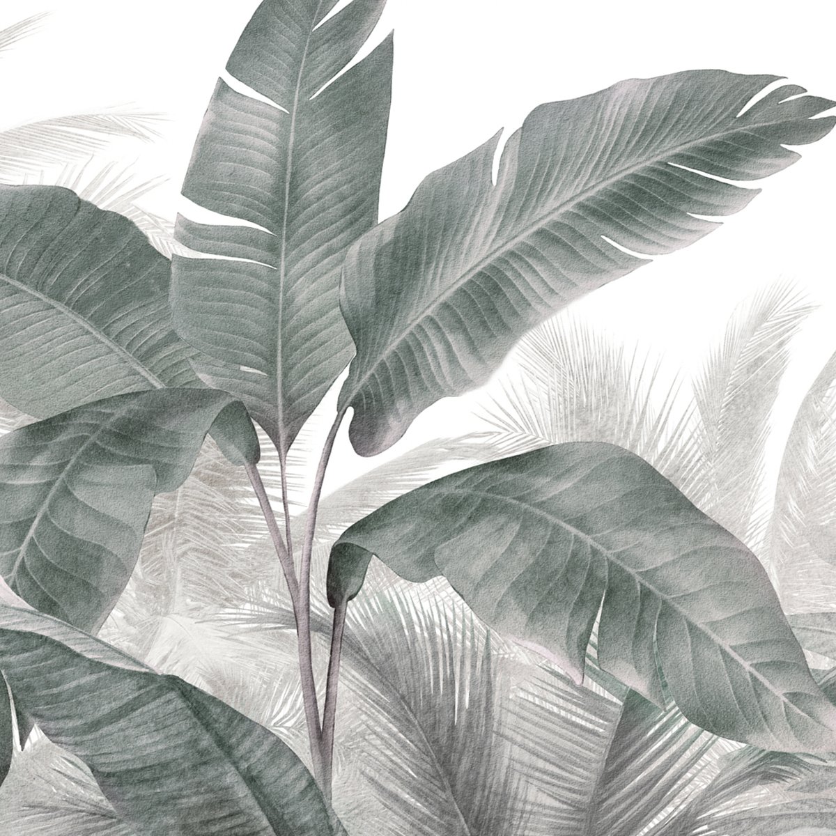 Honpo | Equator Secrets | HO-0045 Honpo | Equator Secrets | HO-0045