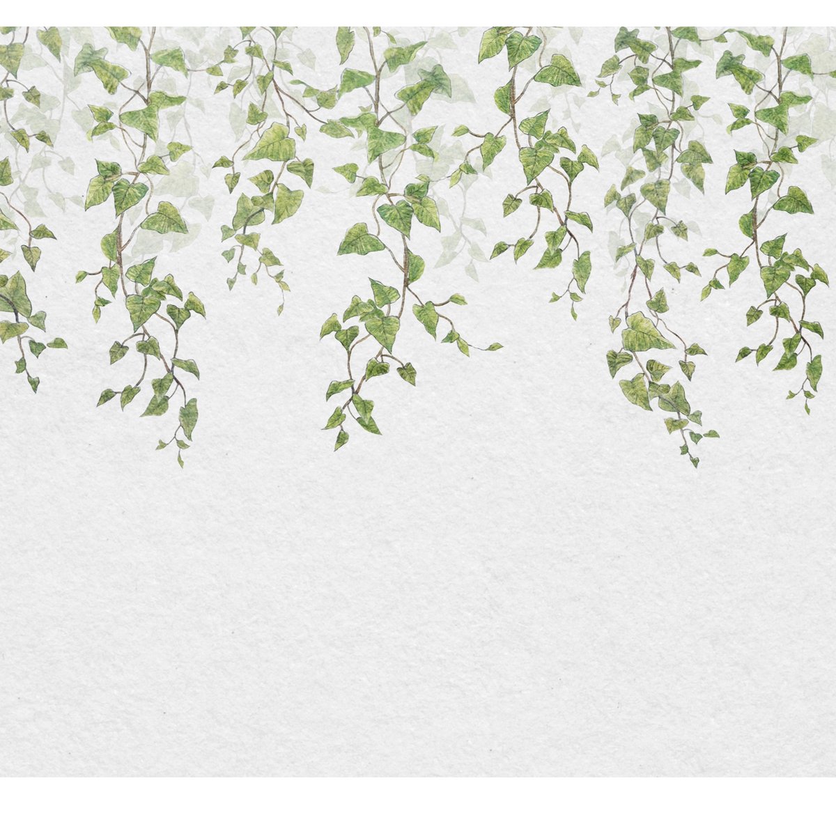 Honpo | Ivy Dream | HO-0059 Honpo | Ivy Dream | HO-0059