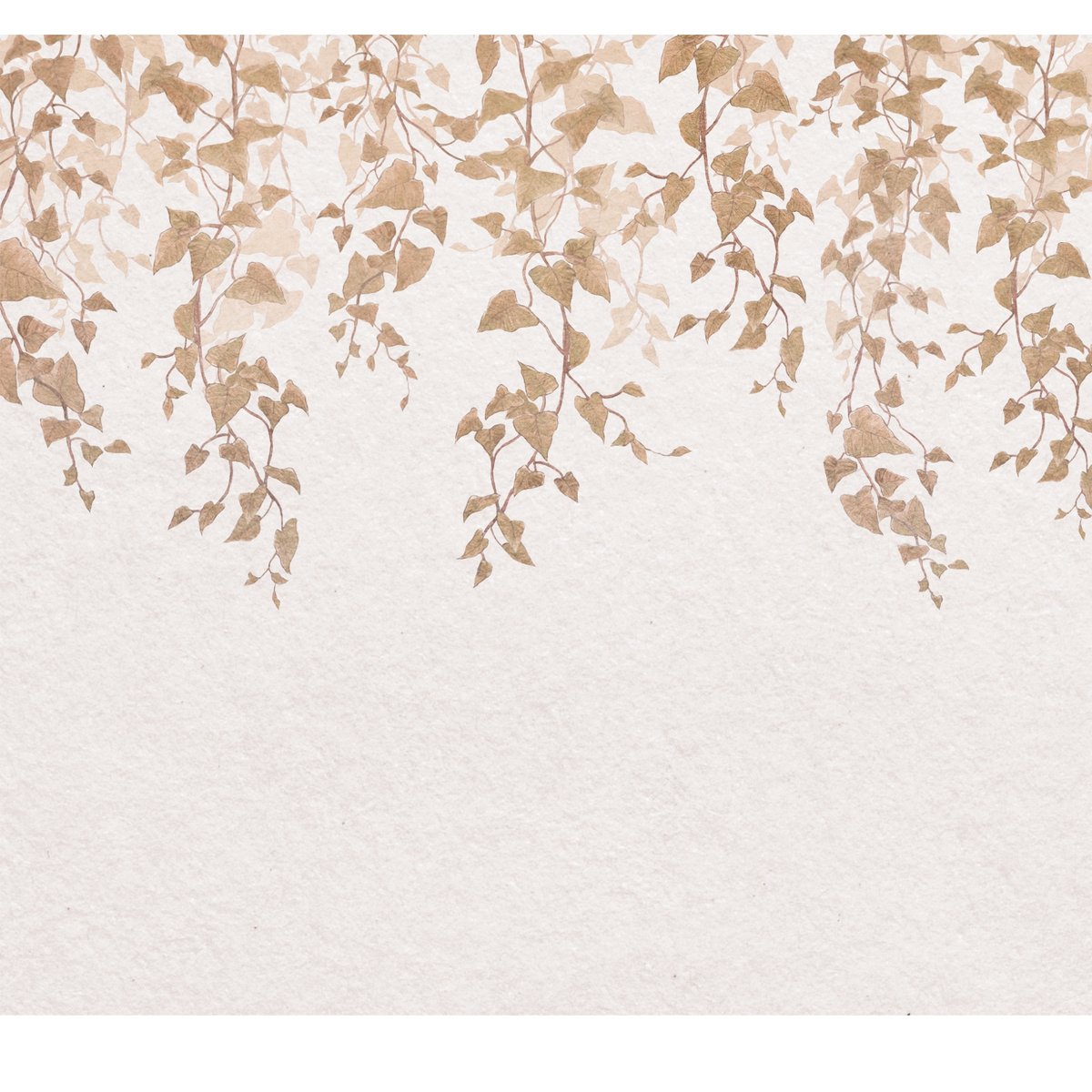 Honpo | Ivy Dream | HO-0059 Honpo | Ivy Dream | HO-0059