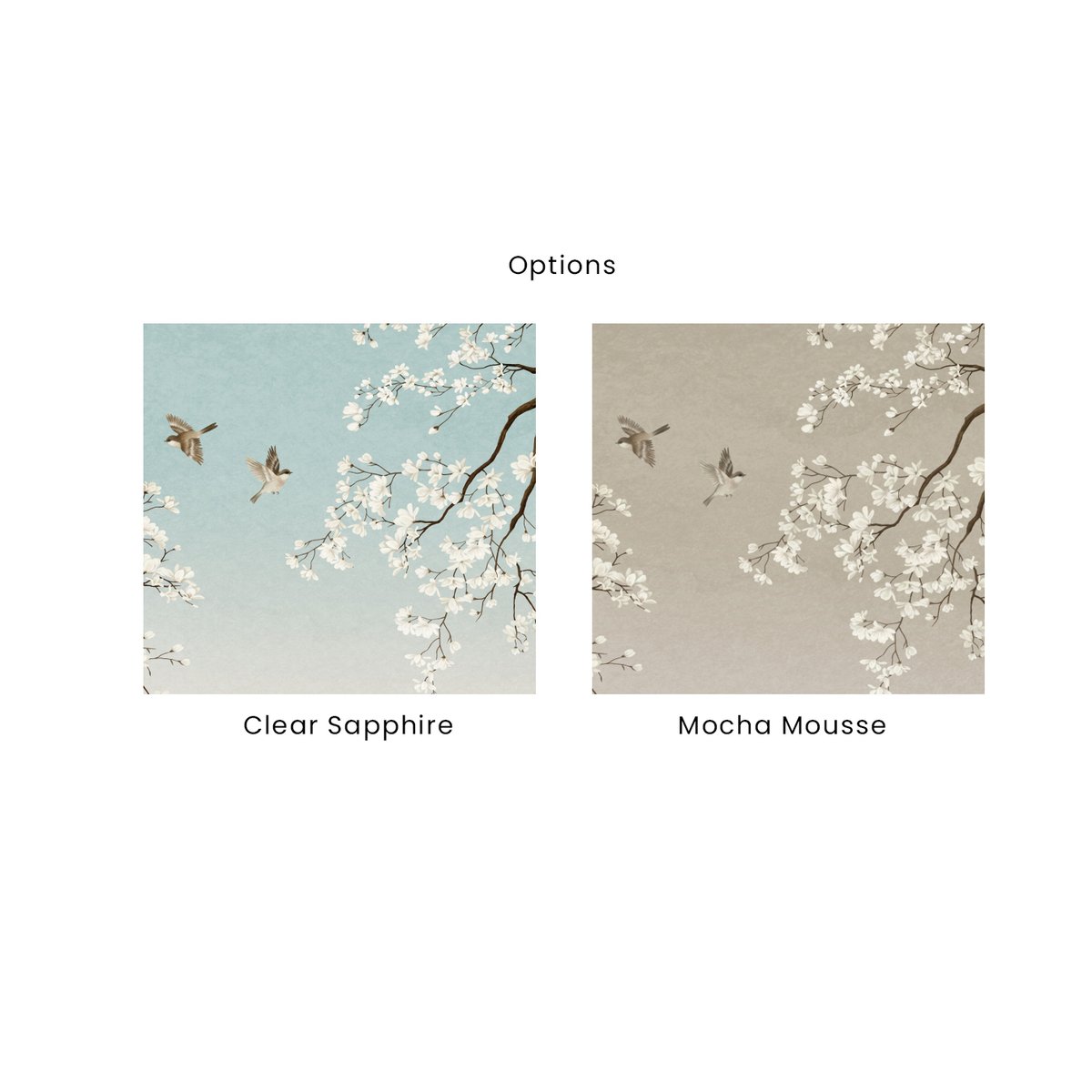 Honpo | Melody of Spring Honpo | Melody of Spring