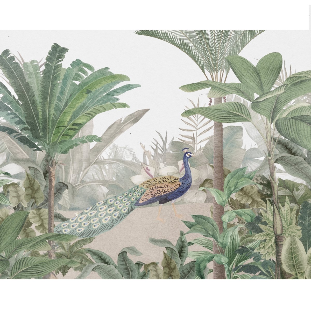 Honpo | Peacock Stroll | HO-004 Honpo | Peacock Stroll | HO-004