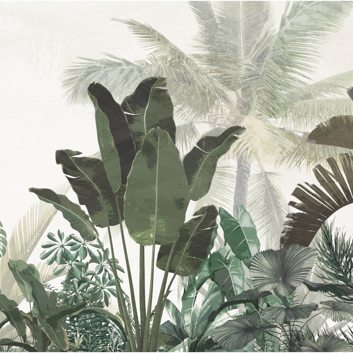 Honpo | Tropical Evanesce Honpo | Tropical Evanesce