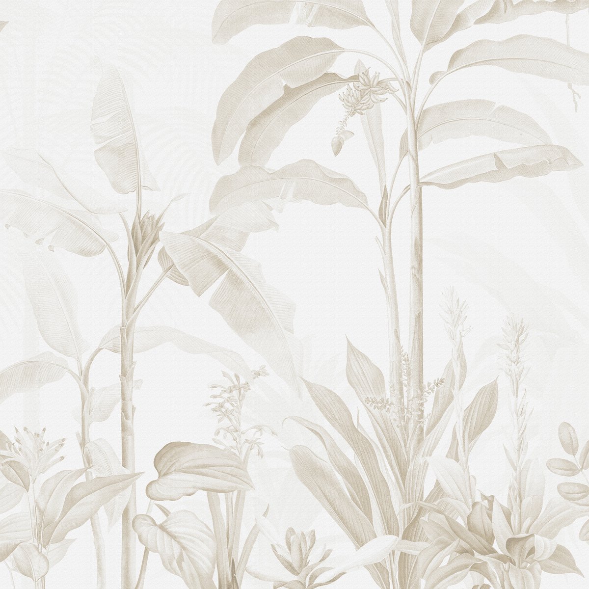 Honpo | Tropical Garden Honpo | Tropical Garden